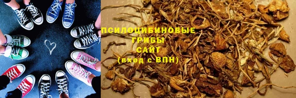 прущие крисы Белоозёрский