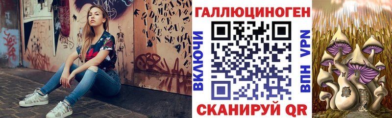 Псилоцибиновые грибы Cubensis  блэк спрут рабочий сайт  Дигора  закладки 